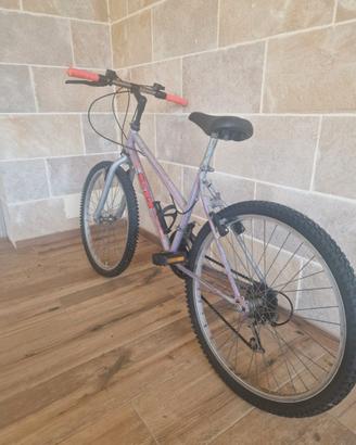 Bicicletta