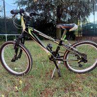 Bicicletta Rockies Verde, nera e bianca.