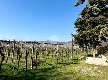 TER. AGRICOLO A CAPRINO VERONESE