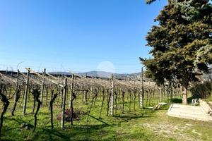 TER. AGRICOLO A CAPRINO VERONESE