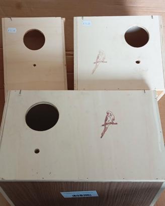 Nido calopsite , inseparabili , cocorite Major