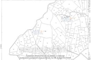 Terreno Agricolo Salle [A4334384]