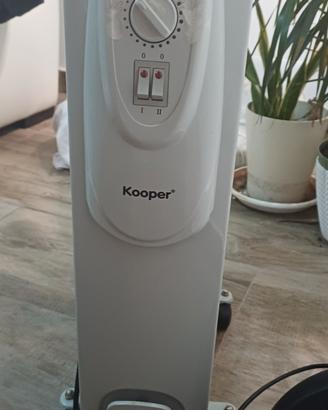stufetta termosifone ad olio caldobagno