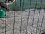 Immagine 2