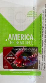 America the beautiful pass