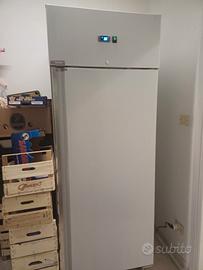 Frigo refrigerato