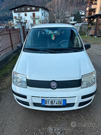 Panda bianca
