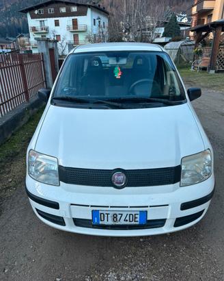 Panda bianca