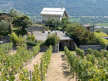 Terreno fabbricabile con garage