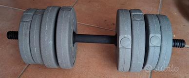 Peso da due dischi di 1,5kg e 2 da 1kg