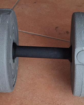 Peso da due dischi di 1,5kg e 2 da 1kg