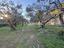 Immagine 25