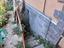 Immagine 16
