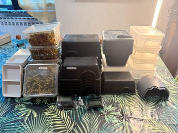 Accessori Terrario