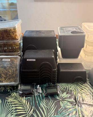 Accessori Terrario