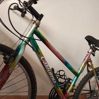 Mountain bike usata