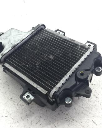 HONDA SH I ABS 150 RADIATORE ACQUA LIQUIDO RAFFRED
