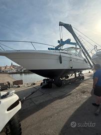 sea ray