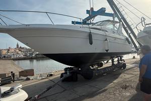 sea ray