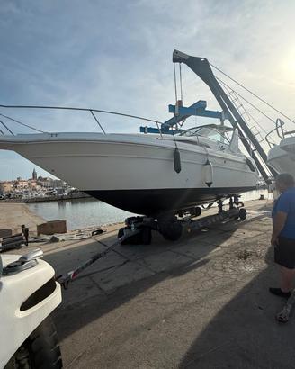 sea ray