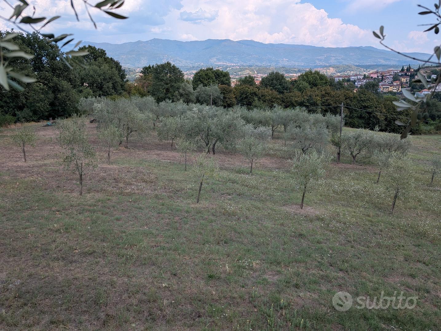Terreno agricolo in Via Chianti Valdarno 1 - Vista 5