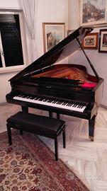 Pianoforte Toyo Apollo A35 (206 cm) Mezzacoda