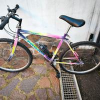 Mountain bike, bicicletta da sistemare