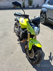 Honda hornet