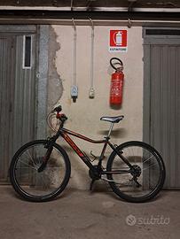 Mountain bike Vicini