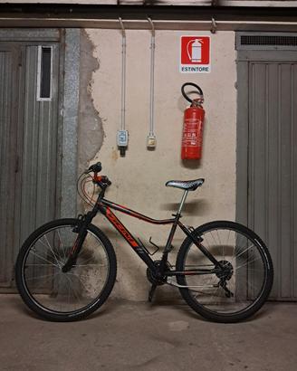 Mountain bike Vicini