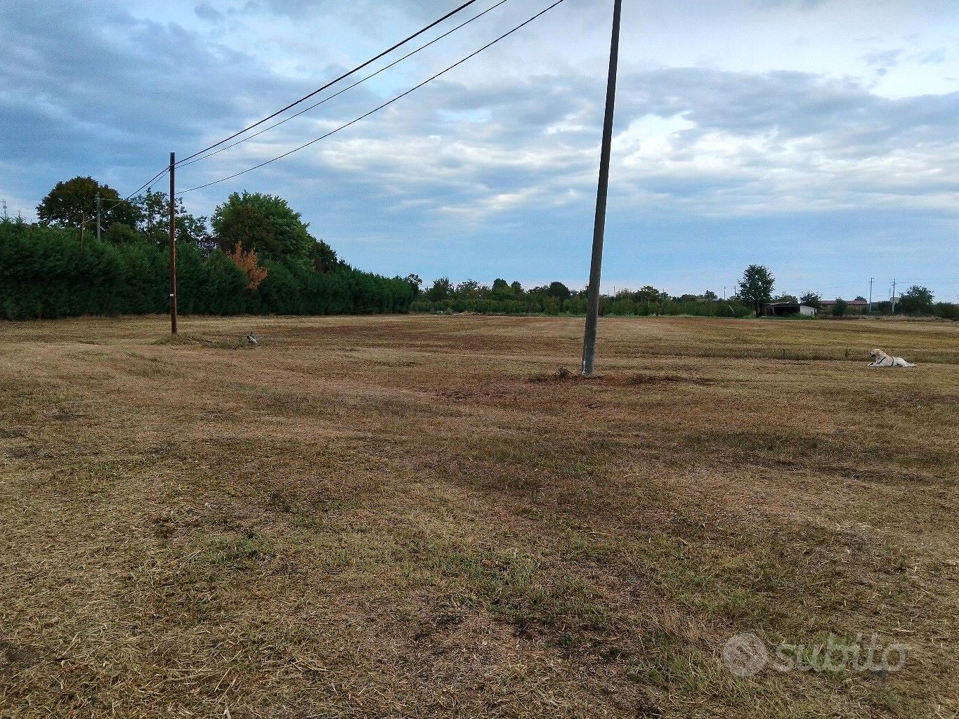 terreno agricolo 22.000 mq - Vista 4