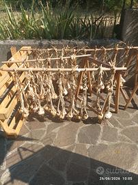 Bulbi di aglione per semina