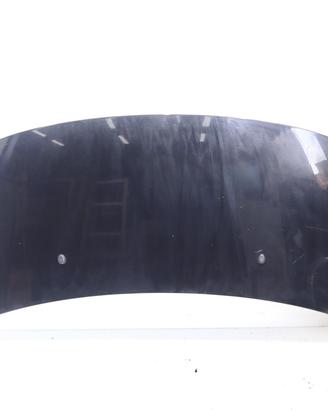 COFANO ANTERIORE PEUGEOT 3008 Serie 7901Q8 (09>16)