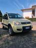 fiat-panda-1-2-4x4-climbing