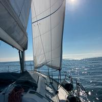Barca vela