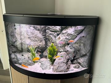 Acquario angolare sfondo 3d e accessori