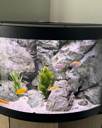Acquario angolare sfondo 3d e accessori