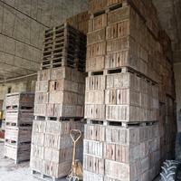 cassette in legno ortofrutta 