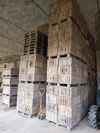 cassette in legno ortofrutta 