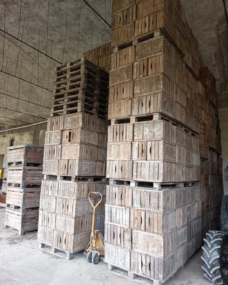 cassette in legno ortofrutta 