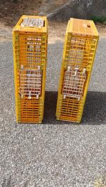 Gabbia  gabbie discrete condizioni