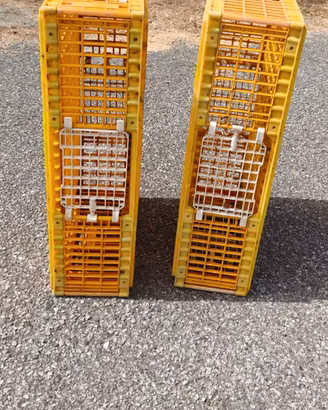 Gabbia  gabbie discrete condizioni