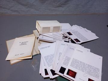 diapositive tridimensionali 