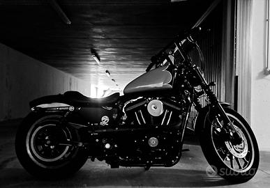 Harley-Davidson Sportster 883 - 2007