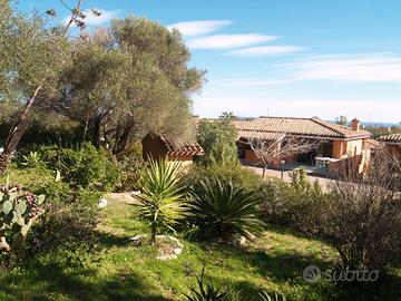 Al mare immersi nel verde
