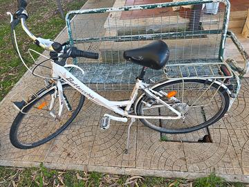 Bicicletta City Bike Donna Bottecchia Bianca