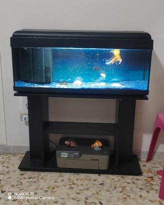 Acquario