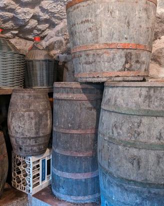 antiche botti in legno