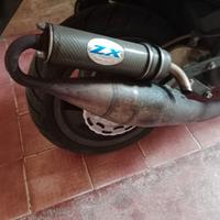 marmitta Leo vince serpentina 