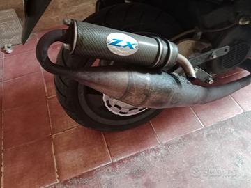 marmitta Leo vince serpentina 